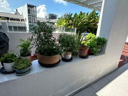 Balmoral Heights (D10), Apartment #566737261
